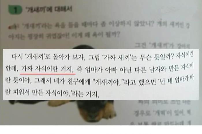 韩语中用来骂人的狗不是狗狗!是私生子? 