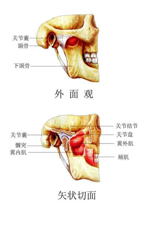 锻炼