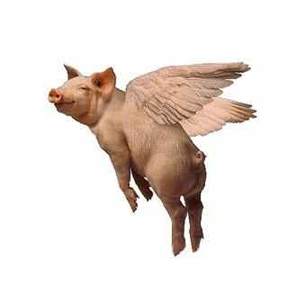 互联网面前你不能再头脑发热了