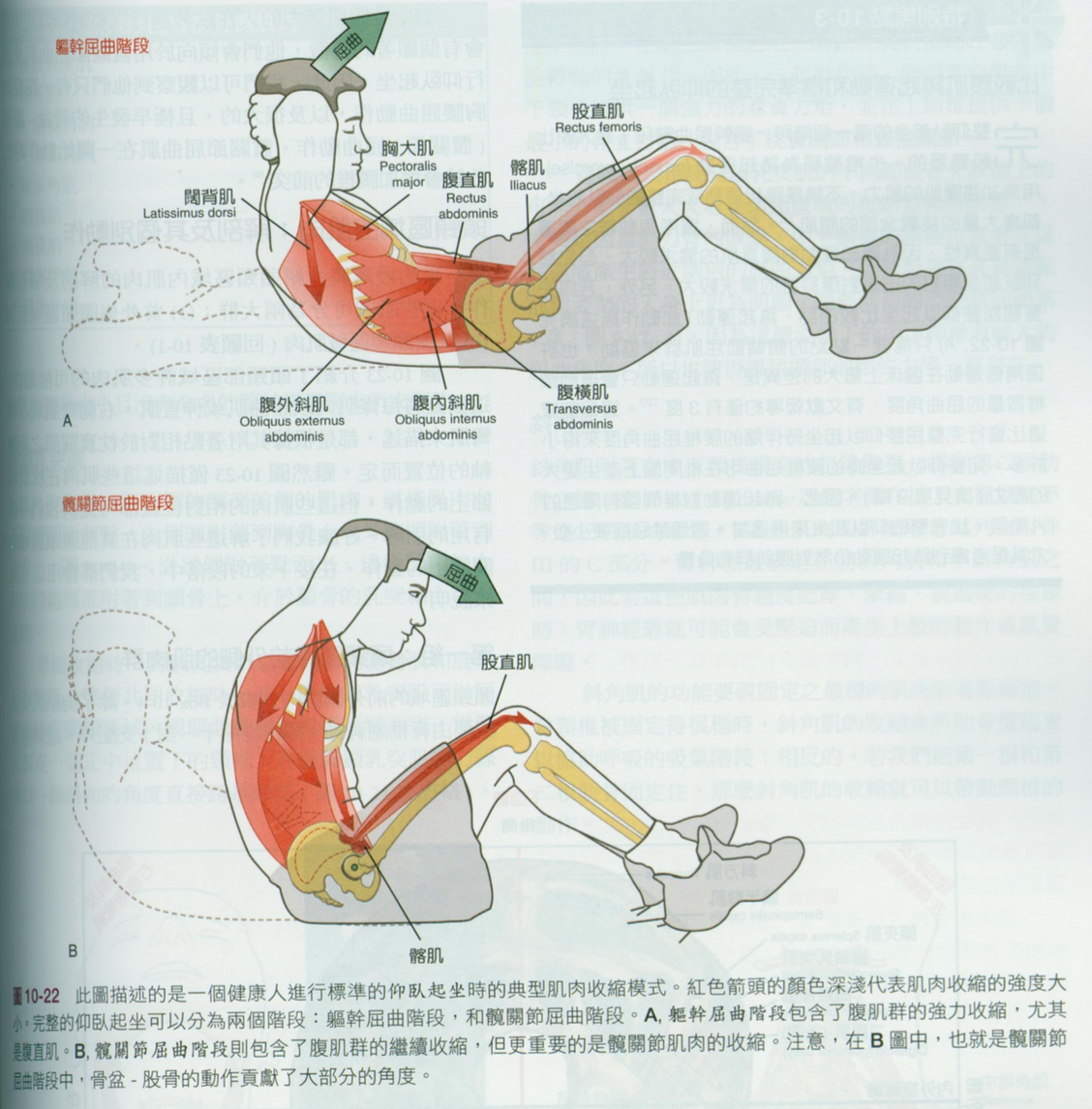 8块腹肌算什么！有“子弹肌”的才是真男人！