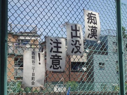 如果当年汉字真的拼音化了会怎么样?