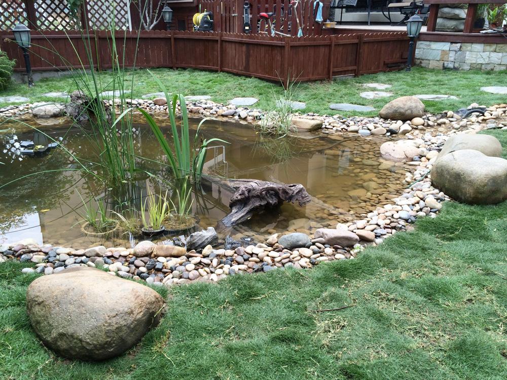 自建池塘美化庭院——家庭自建小池塘指南