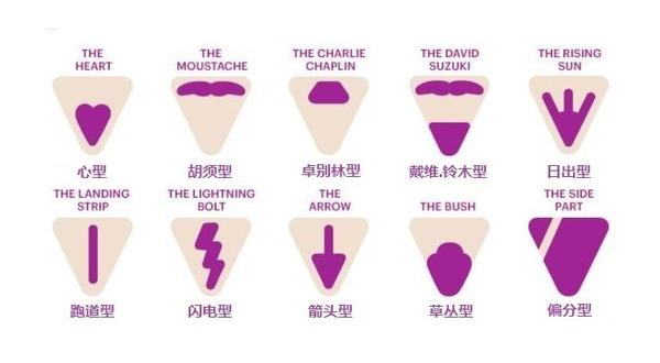 关于私处毛毛你该知道的一切 刮不刮 如何造型 知乎
