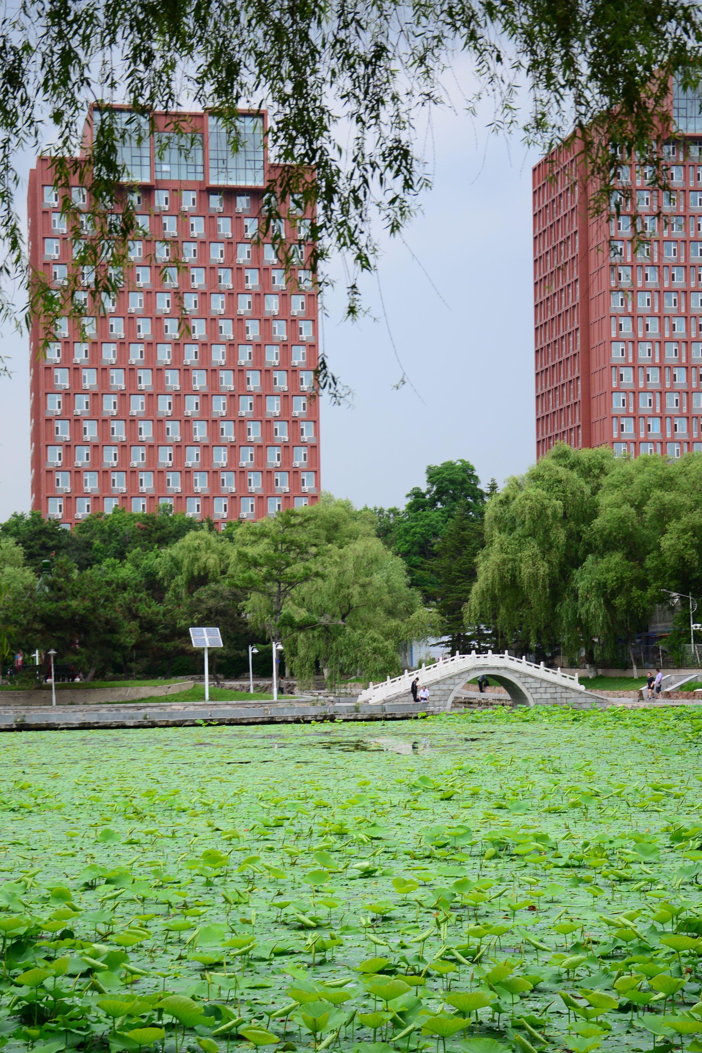 东北师范大学 全景图图片