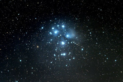 《枫树和七颗星星》中七颗星星指的是哪七颗?