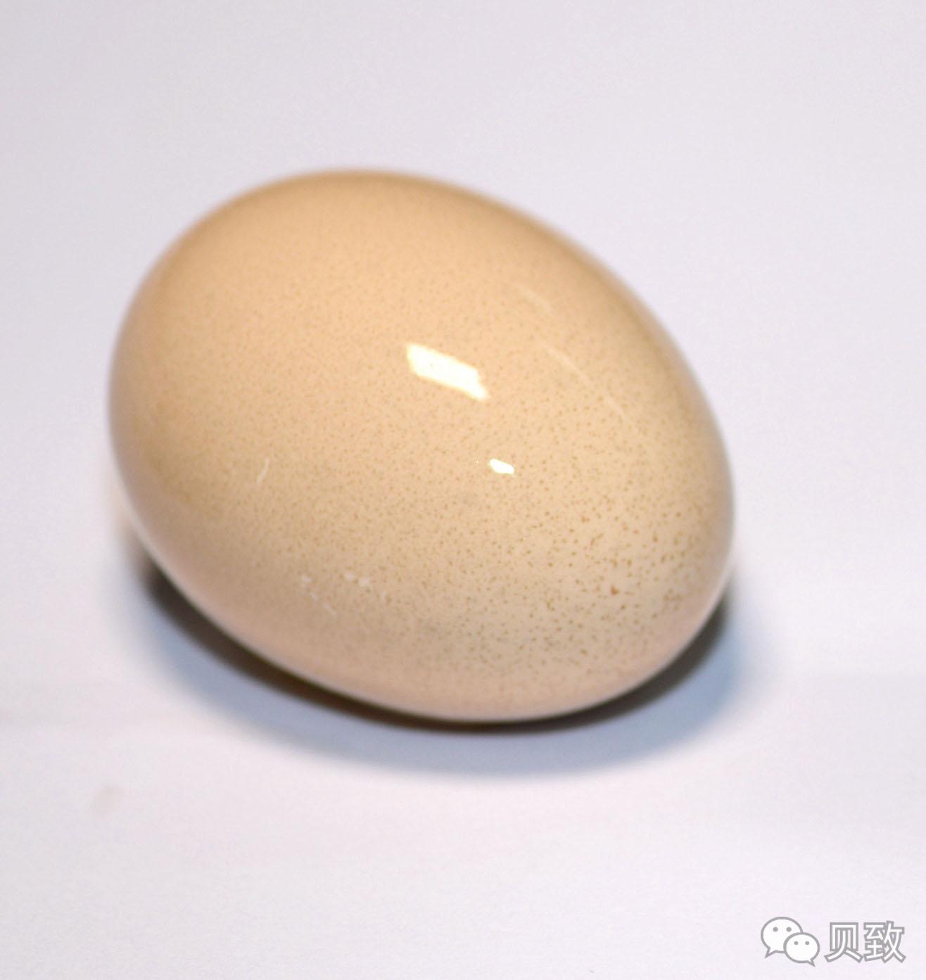 (转)谁能想到,饮料正在“谋杀”我们的牙齿 (转)谁能想到,饮料正在“谋杀”我们的牙齿