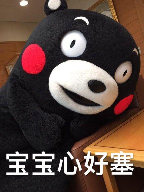 来出游名满天下熊本城名满天下马刺し熊本名物篇