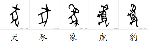 甲骨文中表示哺乳动物的象形字 为什么很多看起来是只用后腿站立的 知乎