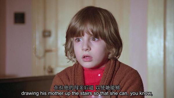 最不恐怖的恐怖片其实很恐怖四幽灵酒店的超自然现象闪灵纪录片第237