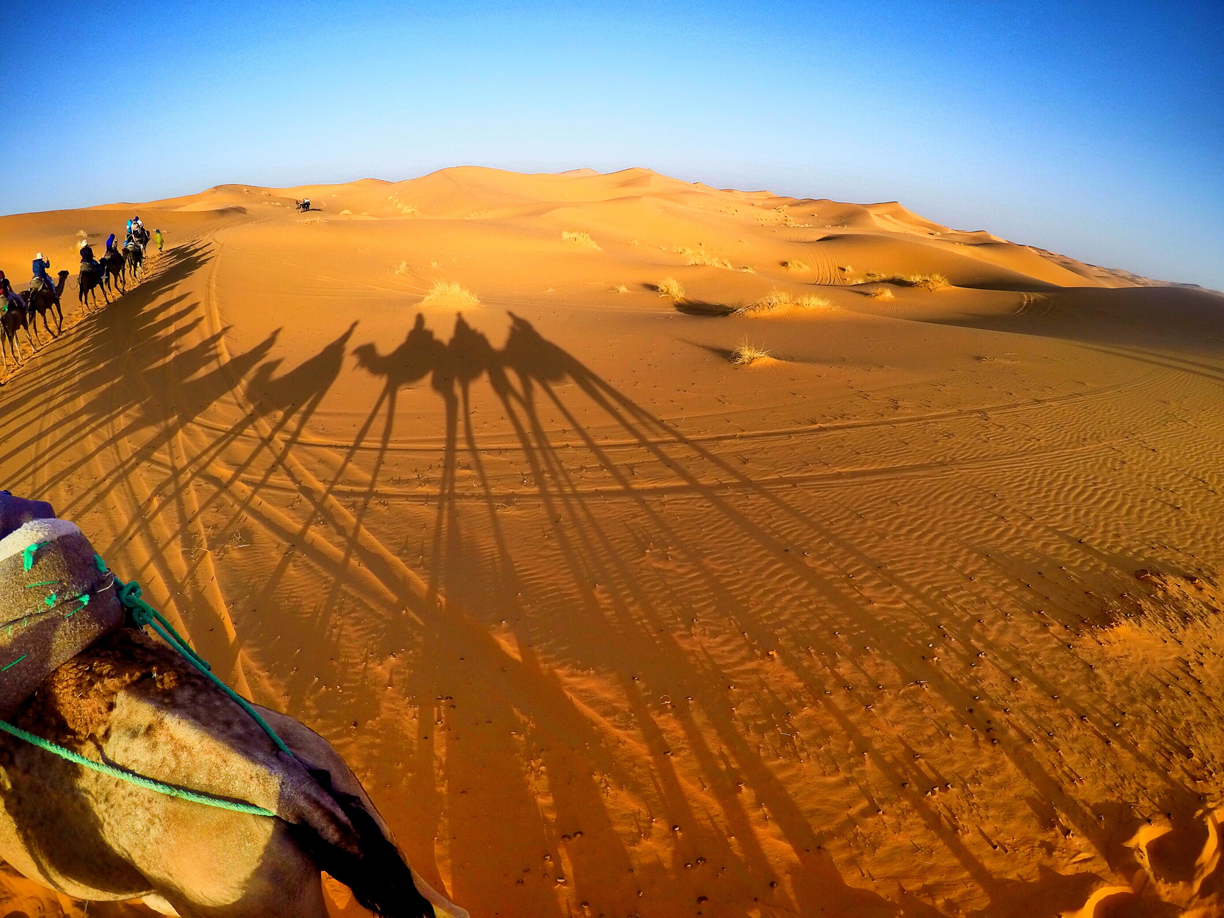 2019腾格里沙漠-旅游攻略-门票-地址-问答-游记点评，阿拉善左旗旅游旅游景点推荐-去哪儿攻略