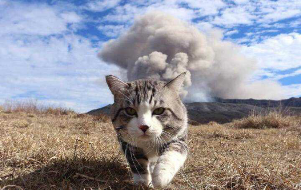 愚蠢的地球人!╭(╯^╰)╮