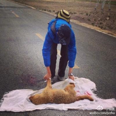 嗯嗯嗯嗯哼 - 收藏夹 - 知乎