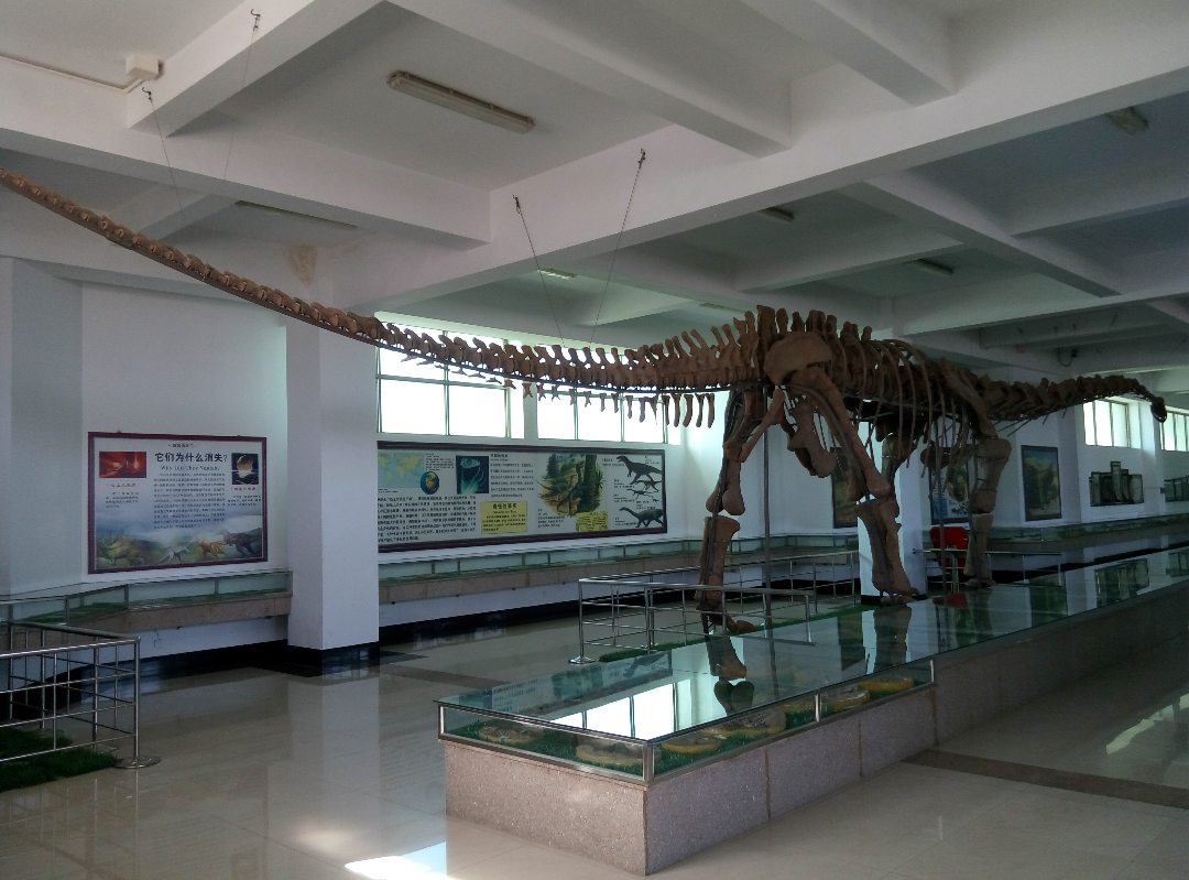 平邑的天宇恐龙博物馆对于恐龙化石的保管情况如何