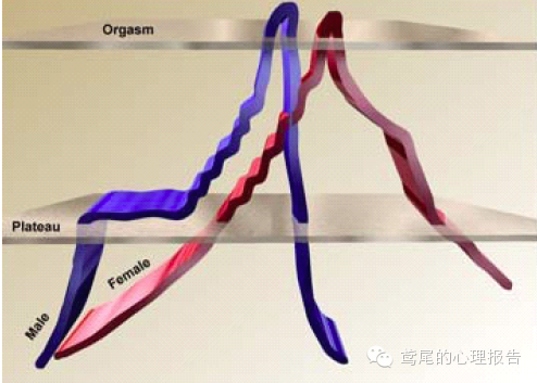 谈谈性 知乎 