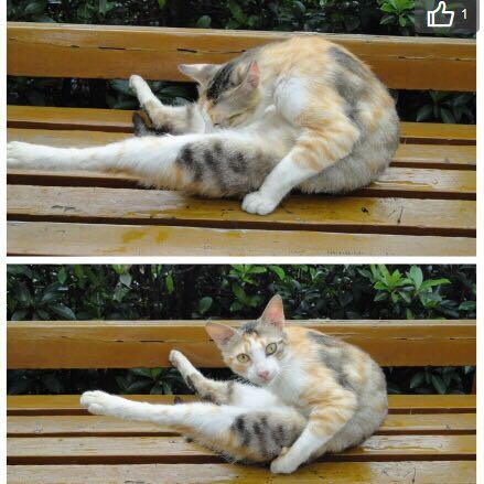 我胸小 冬天可以不<em>穿胸罩吗</em> ?有什么危害? - 健