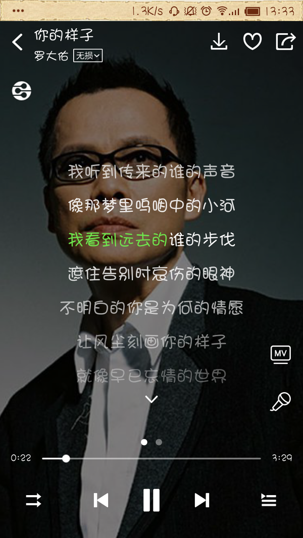 罗大佑-《你的样子》