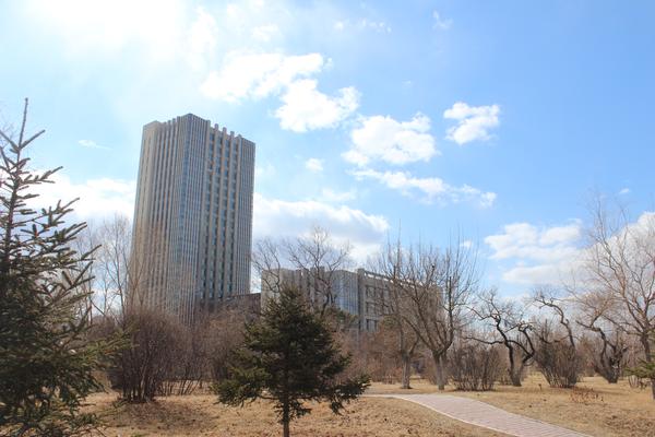 图书前景馆就业学历要求_图书馆学发展前景_图书馆学就业前景