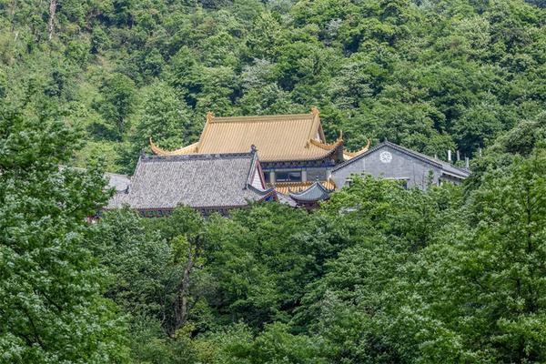参加南岳广济禅寺的"禅意人生"禅修营是什么体验?