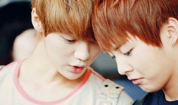 对鹿包(exo鹿晗和xiumin的cp)想说的话?