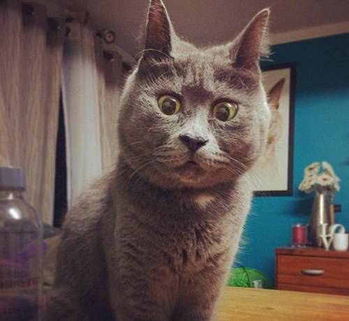 高考怎样才能考到750分? - 背不会书的小孩的