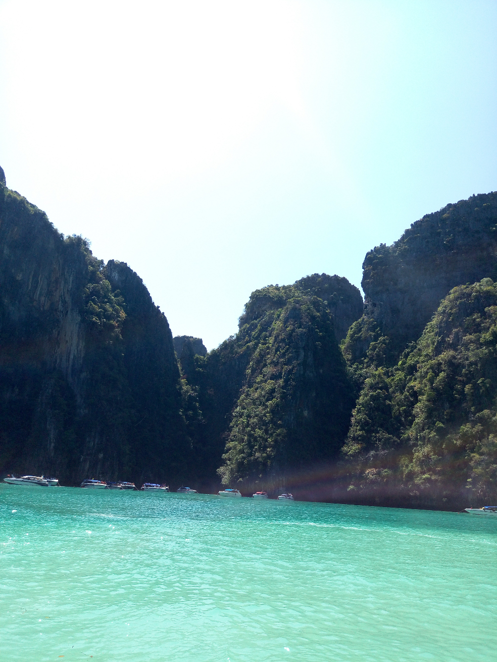 请问君行国际义工协会怎么样? - Joy WZP 的回