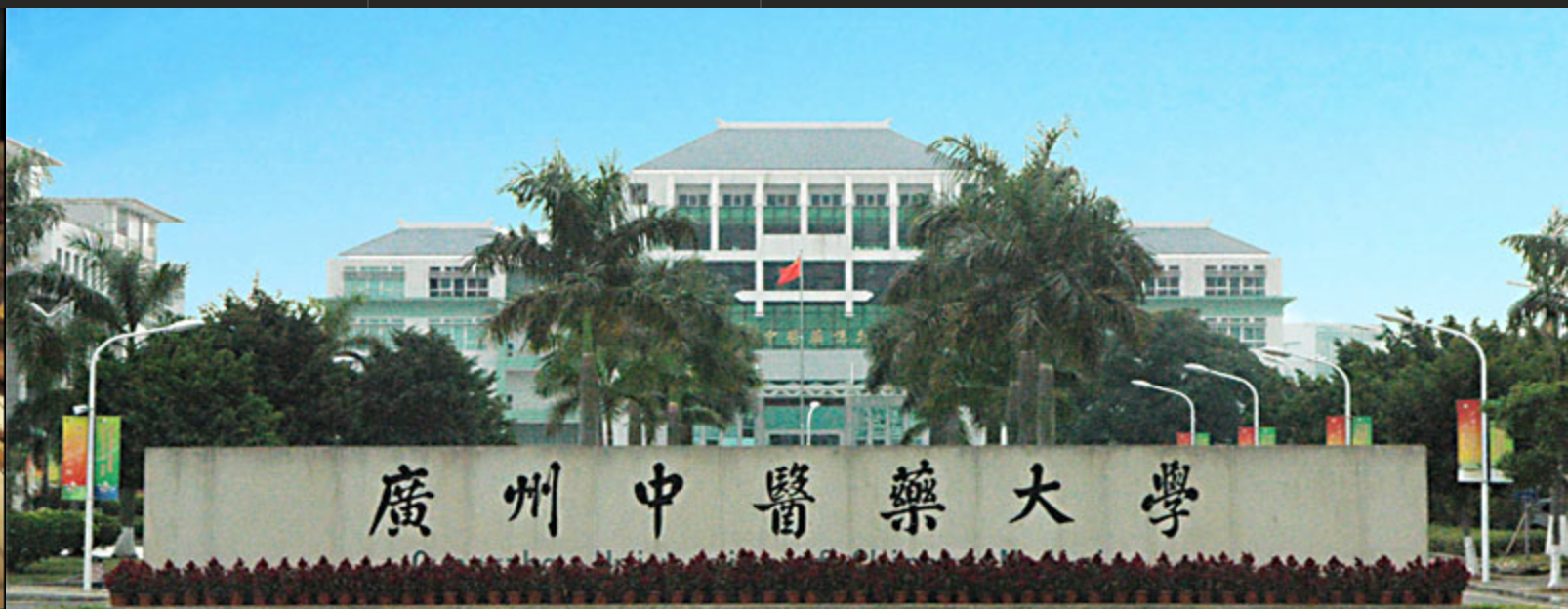 中医内科学 眩晕的辨证论治开云体育- 开云体育官方网站- 开云体育APP下载