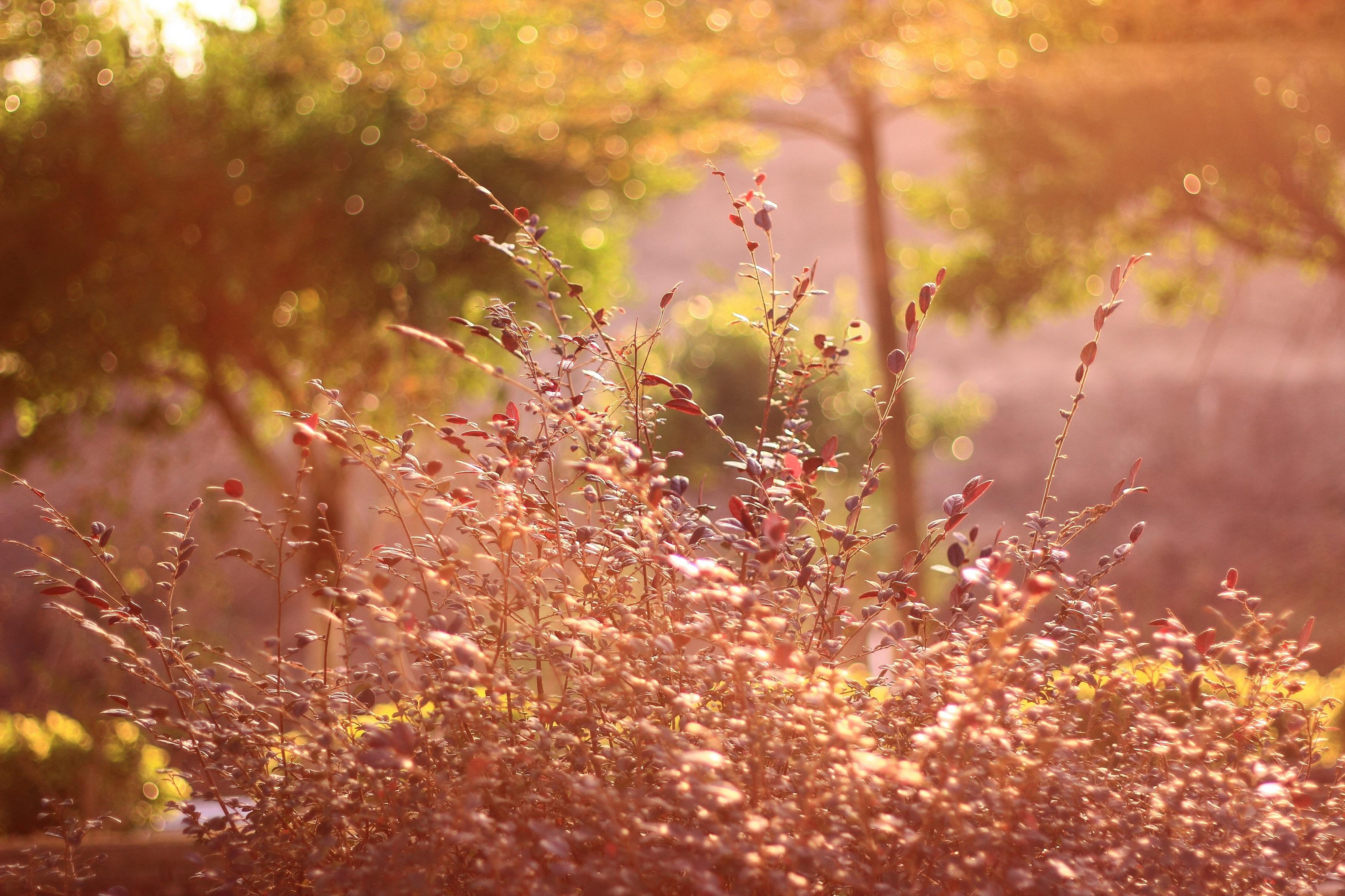 没有人物.纯暖照