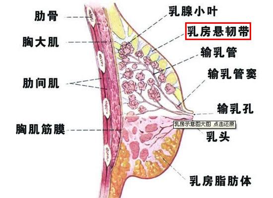 bbcebcd8215fce296772b03b726e7edf_r.jpg