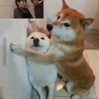 u脞