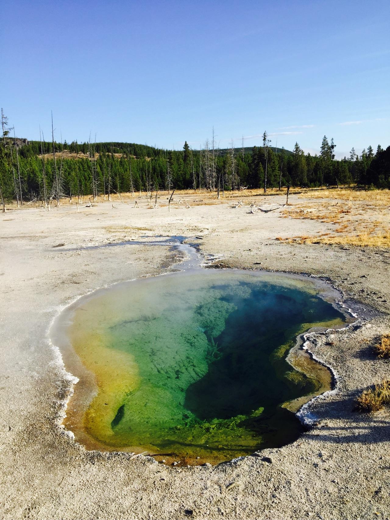 你手机里有什么好看的图片? - 小豆芽的回答