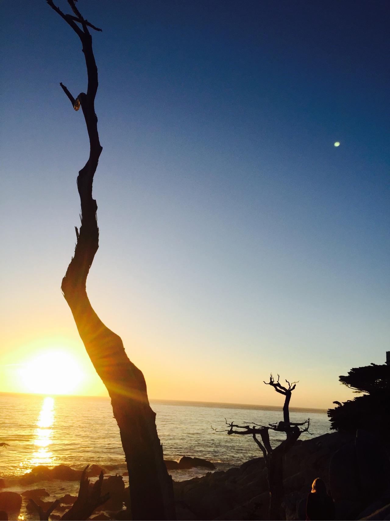 你手机里有什么好看的图片? - 小豆芽的回答