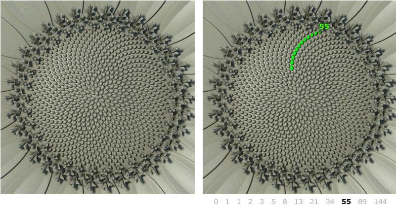 啥叫抽象概念 be98c803f109b18deb72f2e23b76f2b5_r.jpg
