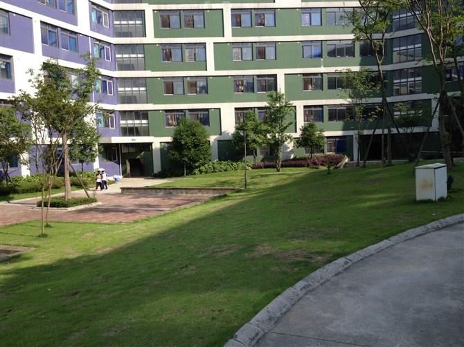 在成都市实验外国语学校西区就读是一种什么体