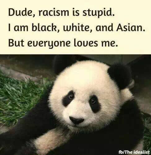 如何优雅又直白地反驳一些人的民族歧视言论?