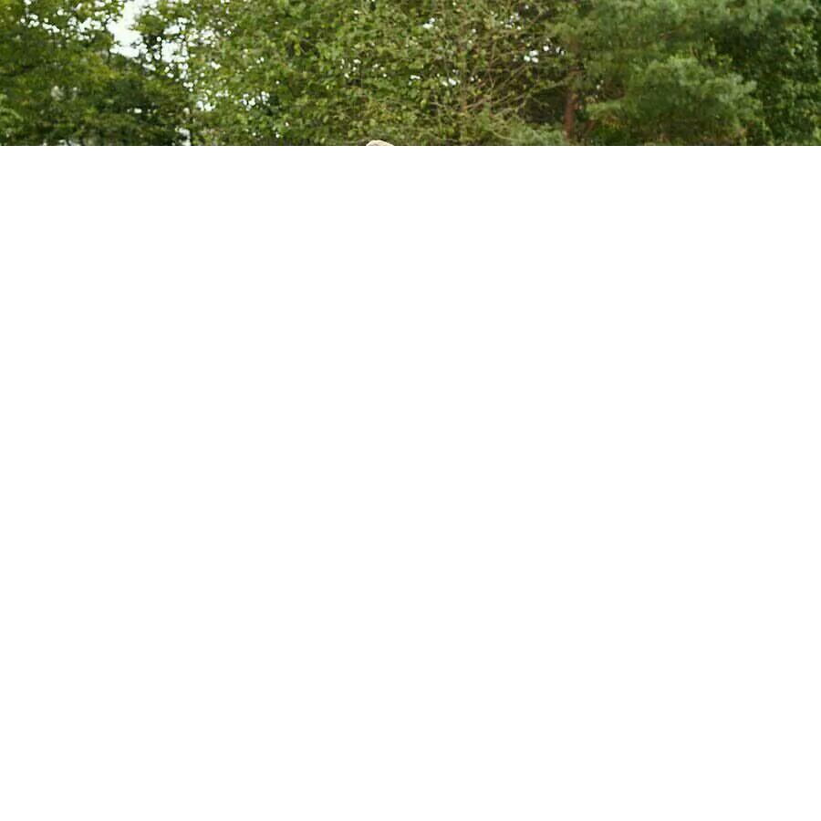 2016年欧洲杯的德国队和同年欧冠拜仁哪个队