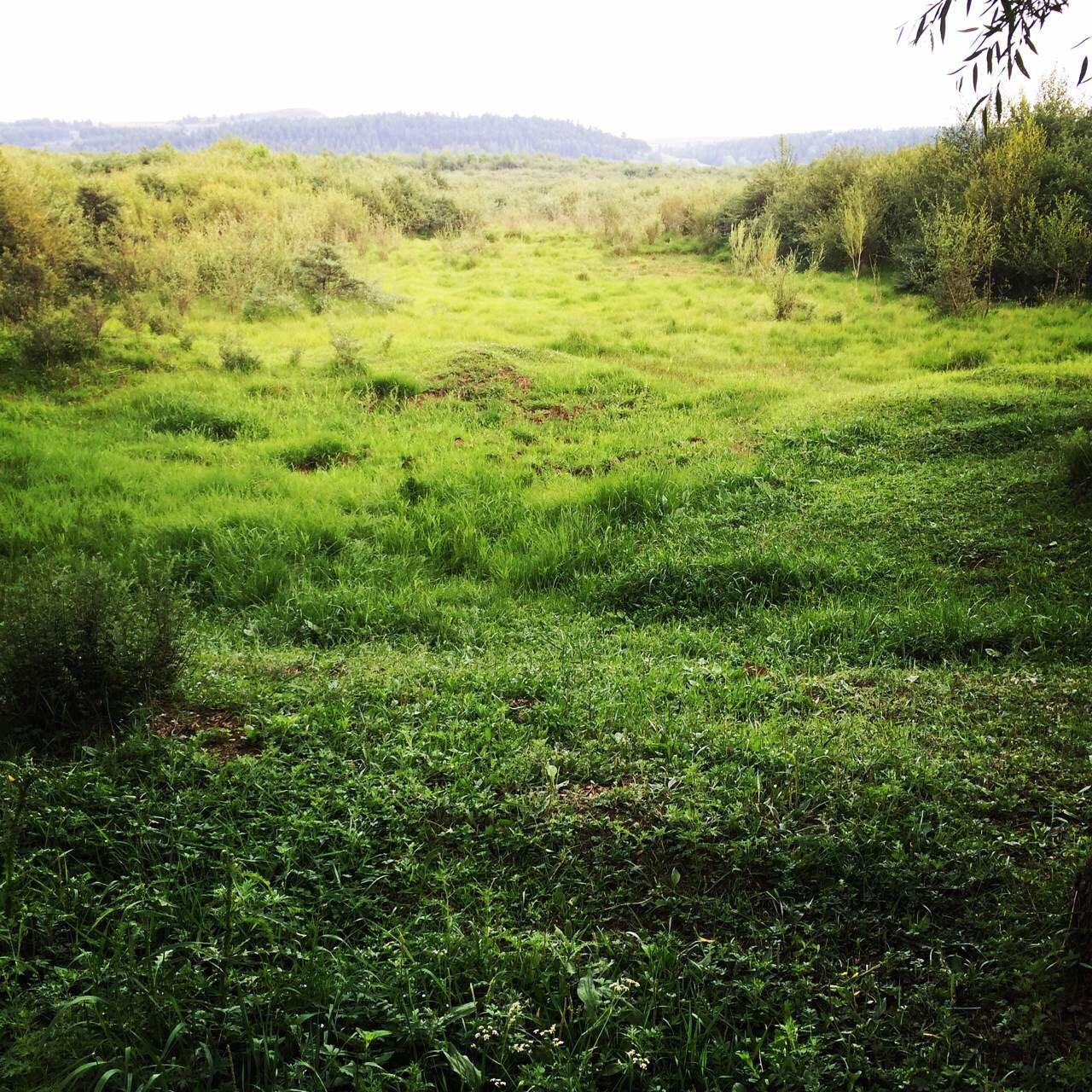 山西有哪些好玩的地方、好吃的东西呢? - 恬静