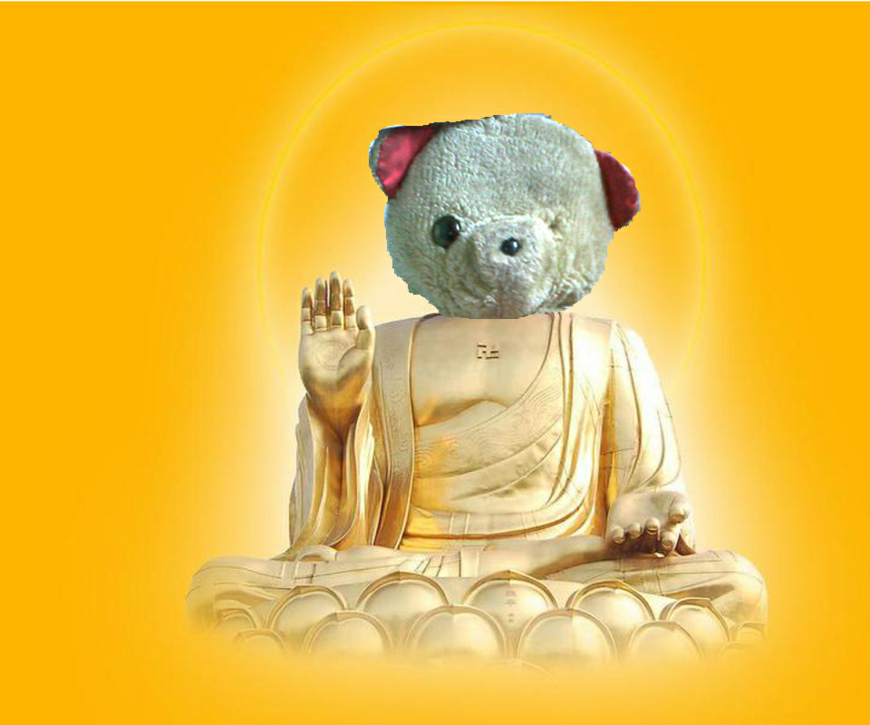 大学生多次禅修的经历写进简历会怎么样? - 李