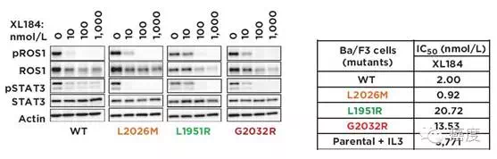 ROS1融合突变和靶向药物 - 知乎