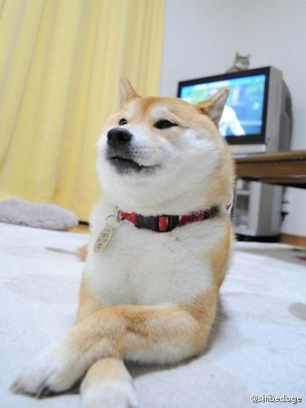 acg文化下的大千世界