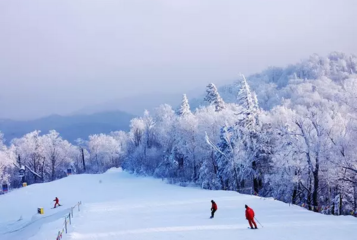 【亚布力滑雪季】Club Med亚布力度假村5天4晚娱雪假期_八大洲旅游