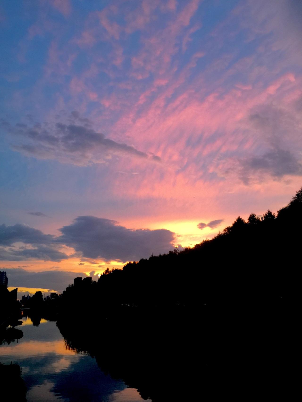 你手机里有什么好看的图片? - 蓝莓酱的回答