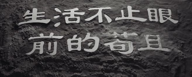 生活不止眼前的苟且,还有未来的苟且!