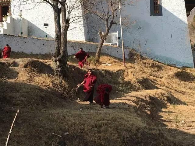 不丹被黑了心疼