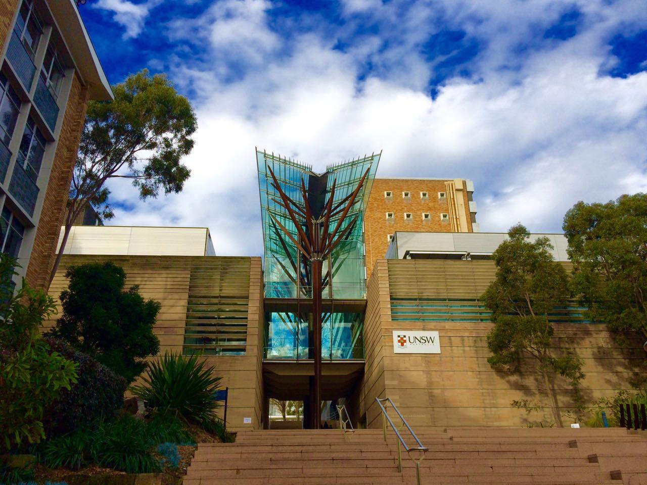 在新南威尔士大学 (UNSW) 就读是怎样的一番