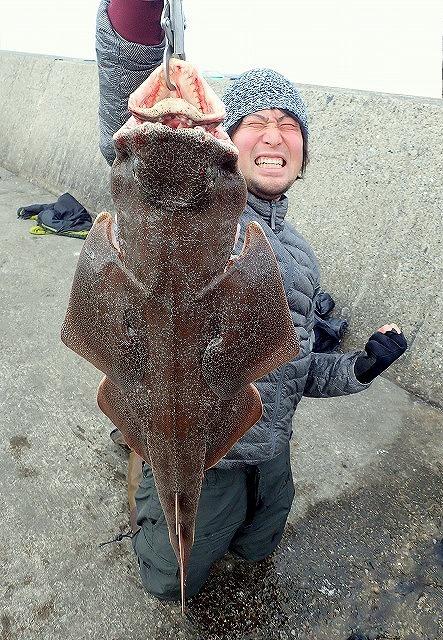 這貨連核輻射變異魚也敢吃愛它就要吃了它