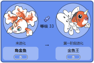 金鱼我就不用说了吧,图也懒得上了