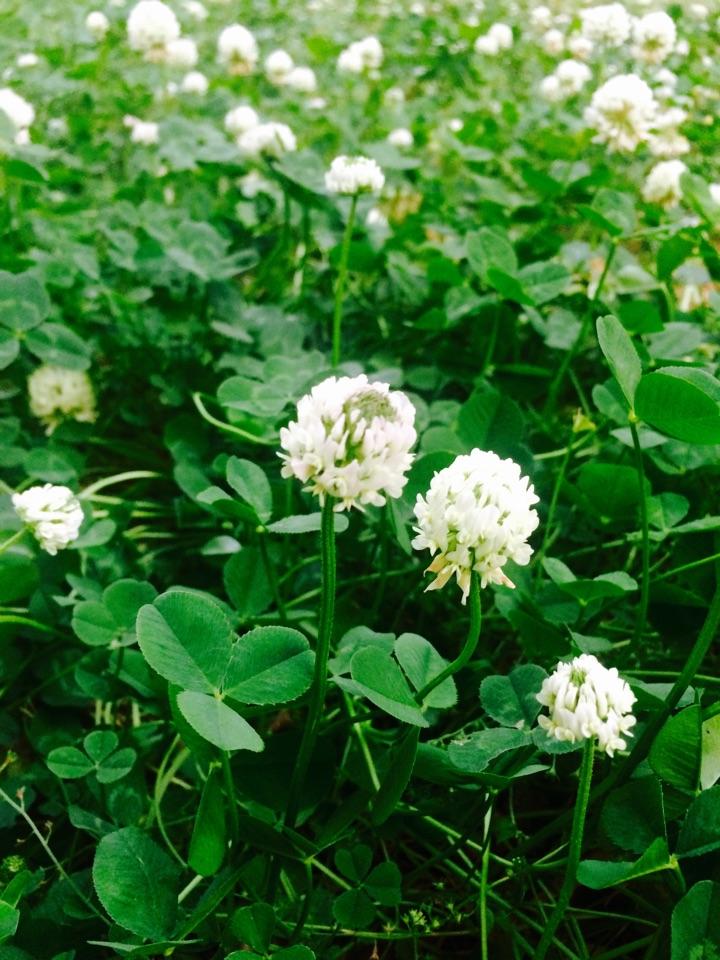 如何看待辞职考研? - 考研计划 - 知乎