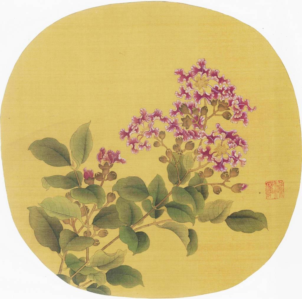 紫薇花对紫薇郎