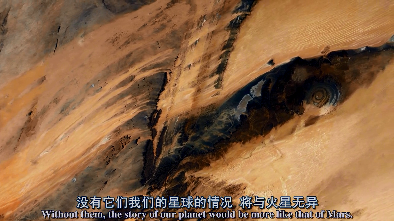 哪些生物对人类贡献最大? - 生物学 - 知乎