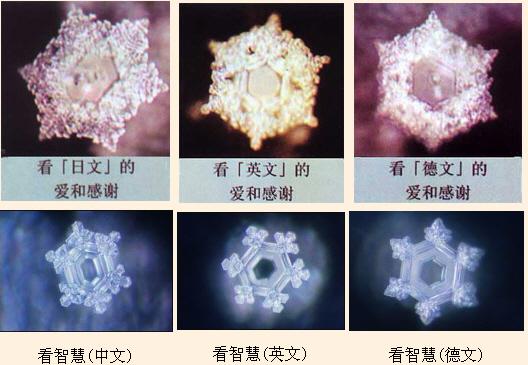 大概讲的都是,如果你给水看(听)一些好的东西,它就会结成漂亮的结晶